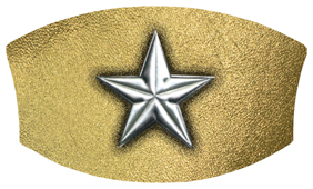 DNSWILL 430 SL GD Star Silver Gold